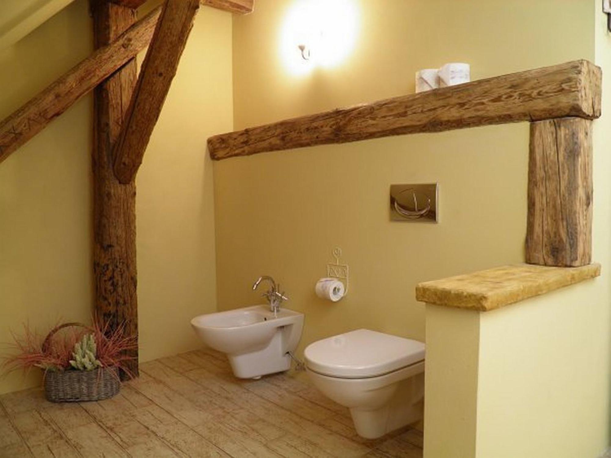 Dvur Olsiny -Hotel And Horse-Riding Карвина Номер фото
