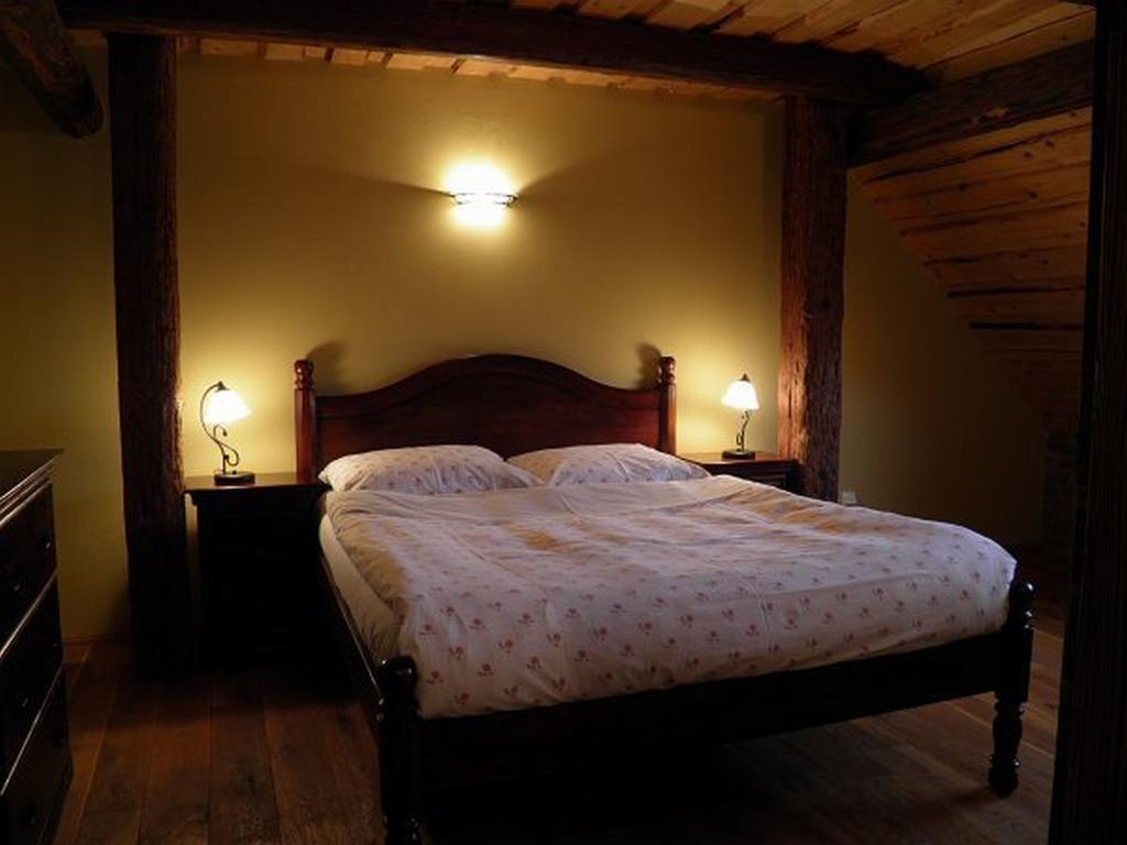 Dvur Olsiny -Hotel And Horse-Riding Карвина Номер фото