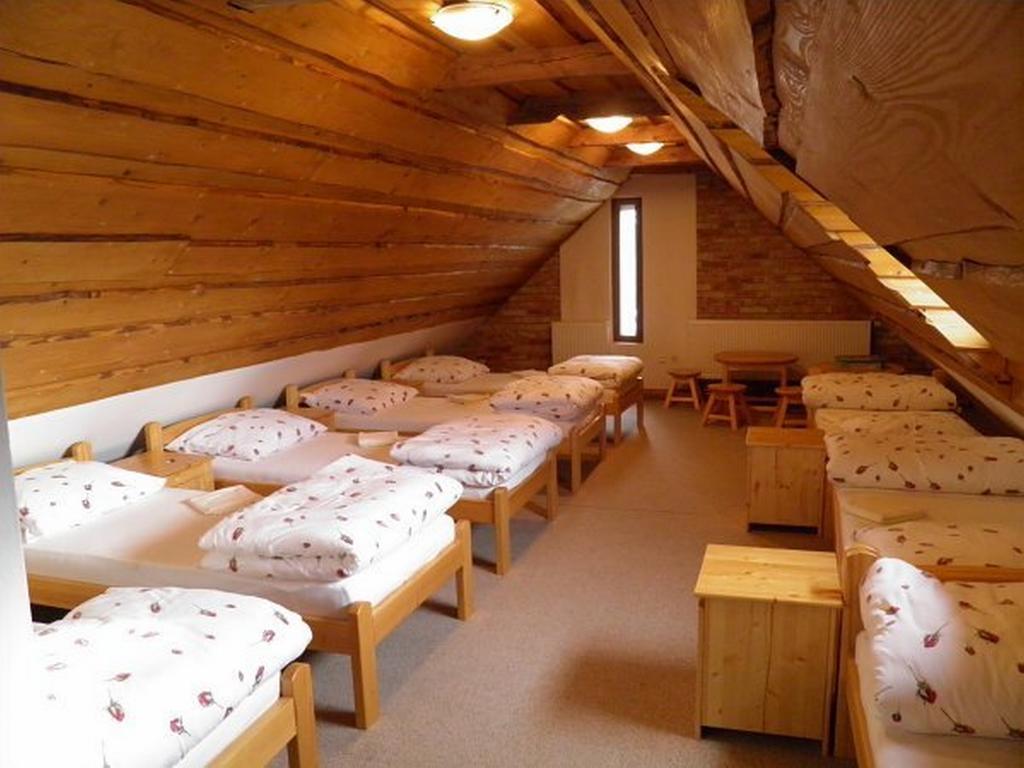 Dvur Olsiny -Hotel And Horse-Riding Карвина Экстерьер фото