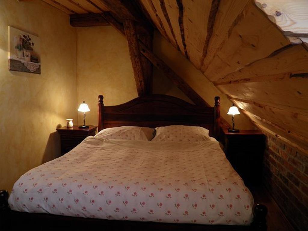 Dvur Olsiny -Hotel And Horse-Riding Карвина Экстерьер фото
