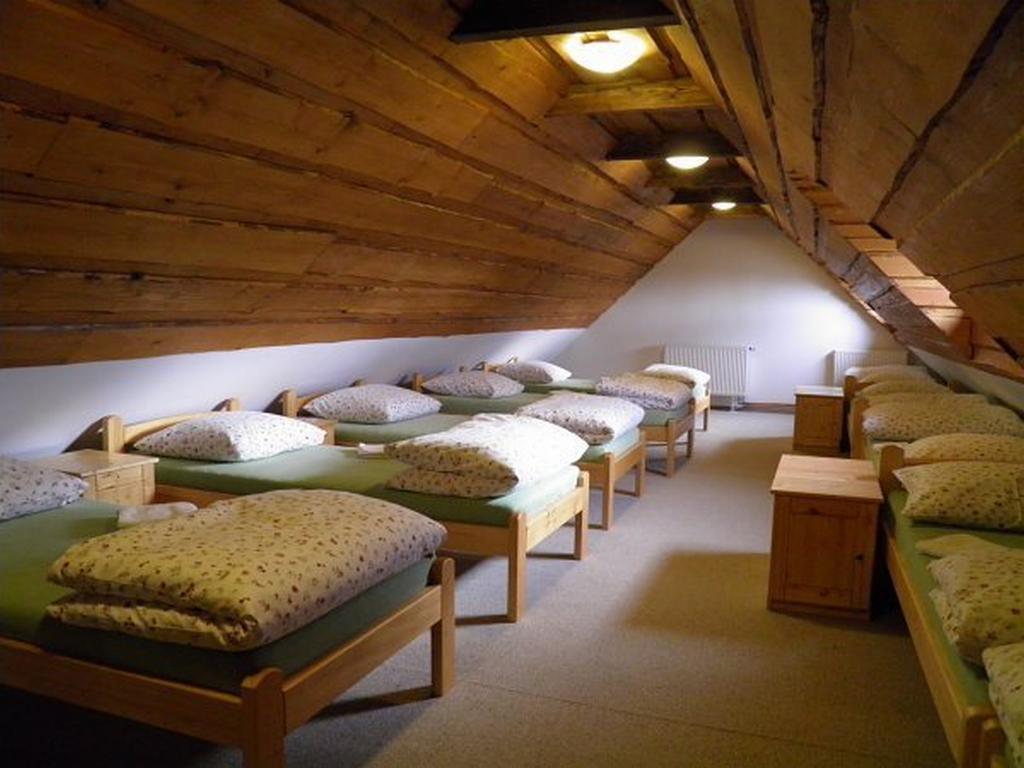 Dvur Olsiny -Hotel And Horse-Riding Карвина Экстерьер фото