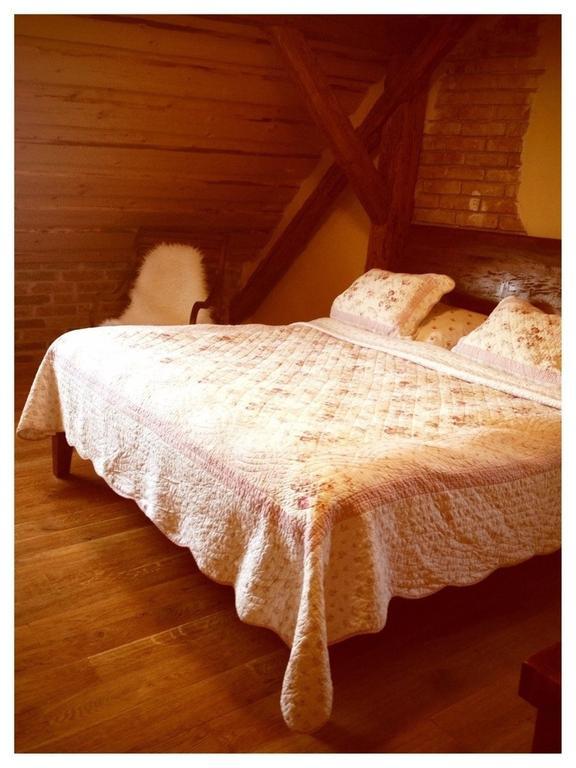 Dvur Olsiny -Hotel And Horse-Riding Карвина Номер фото