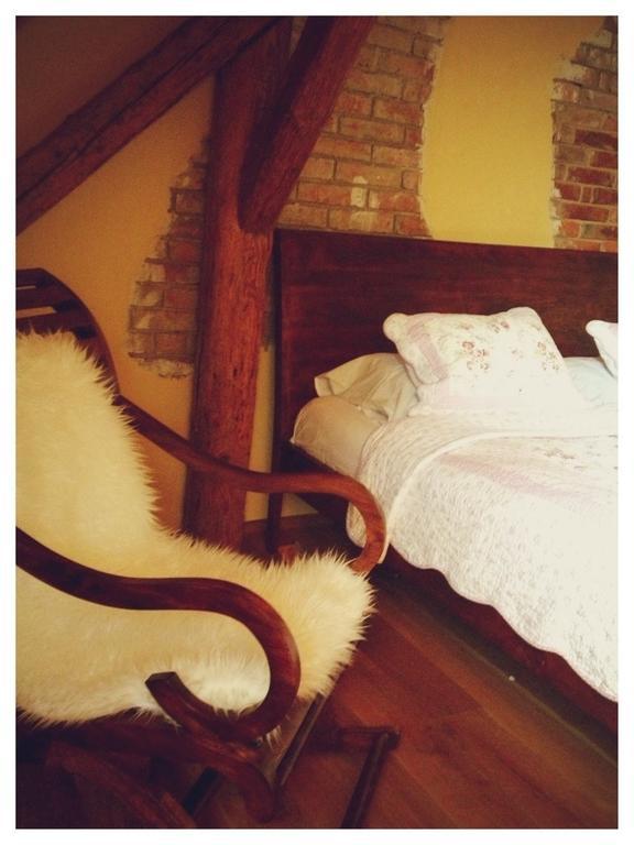 Dvur Olsiny -Hotel And Horse-Riding Карвина Номер фото